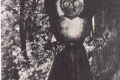 THE FLATWOODS MONSTER