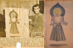 THE FLATWOODS MONSTER