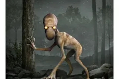 DOVER DEMON