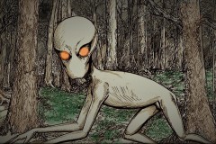 DOVER DEMON