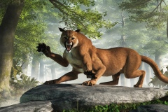 Wampus Cat