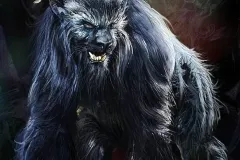 Ozark Howler