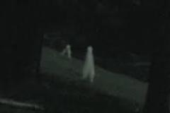 FRESNO NIGHTCRAWLER