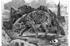 The Rougarou