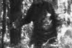 Honey Island Swamp Monster- Harlan Ford Super 8 Film from 1963