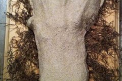 Honey Island Swamp Monster Track