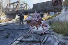 SNALLYGASTER