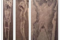 Supposed Orang Pendek Skeleton