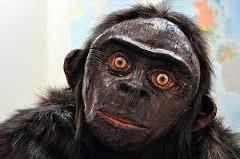 Orang Pendek Model