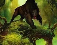 Nandi Bear
