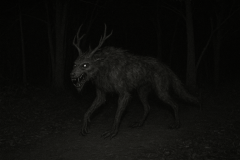 WENDIGO WOLF