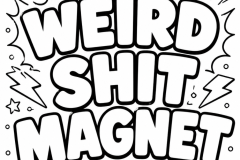 Magnet