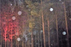 Orbs