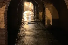 Helmcken Alley