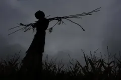 The Man In The Fields Game 