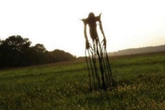 The Man In The Fields Game 