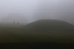 The Veil