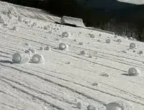Snow Rollers