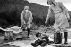 Japan's Unit 731