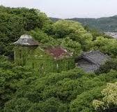 Real Himuro Mansion?