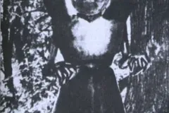 Flatwoods Monster