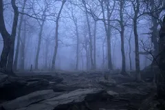 First Morning on Appalachian Trail