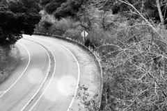 Niles Canyon Road