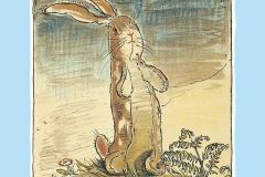 The Velveteen Rabbit
