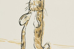Velveteen Rabbit