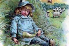 Little Boy Blue