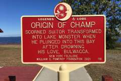 Origin of Champ plaque