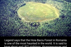 Hoia Baciu Forest 