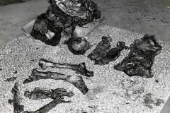 Cleveland Crime Scene
