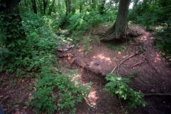 Robin Hood Hills