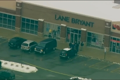 Lane Bryant